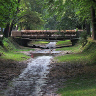 Bridge of Love
